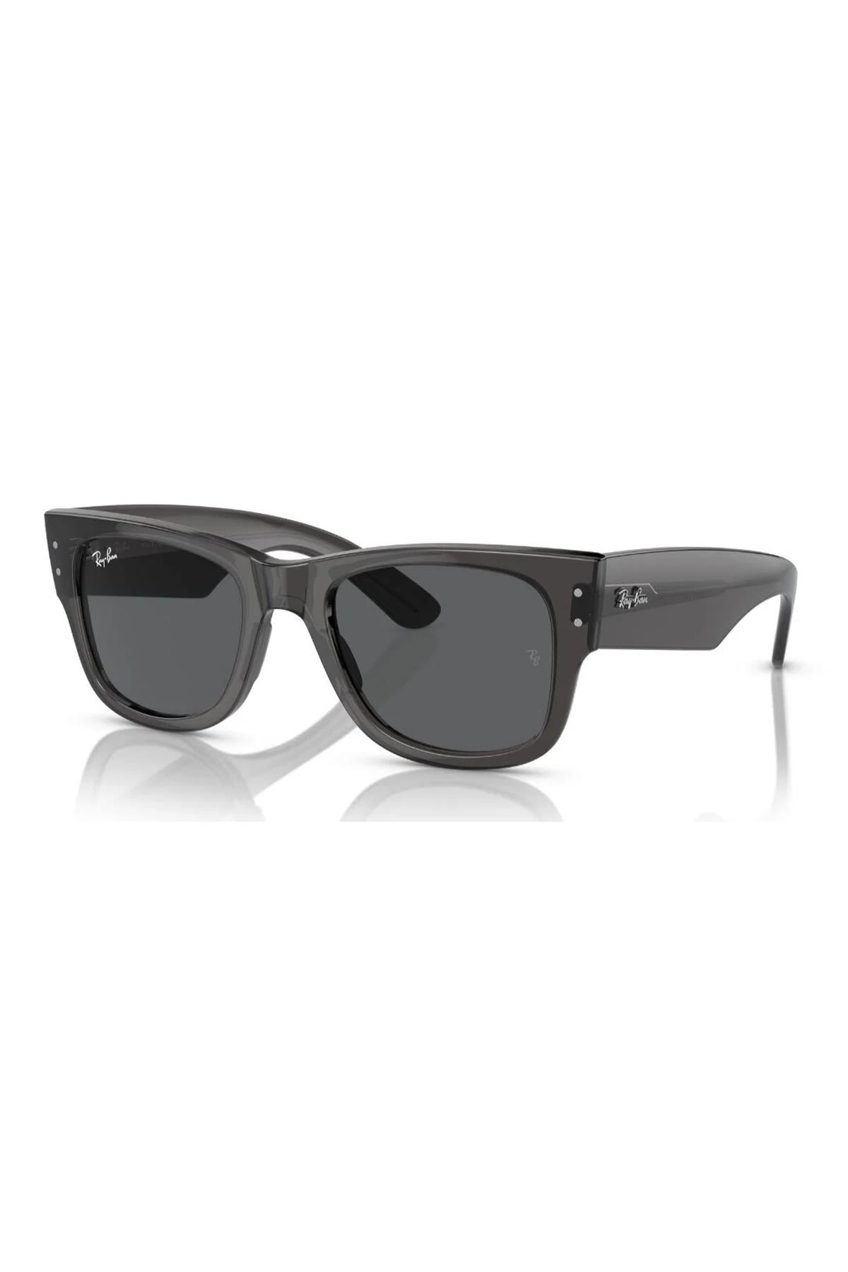 Ray-Ban Güneş Gözlüğü