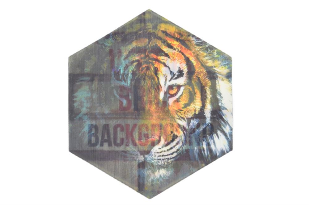 Kaplan Baskılı Hologram Transfer Baskı Aksesuar