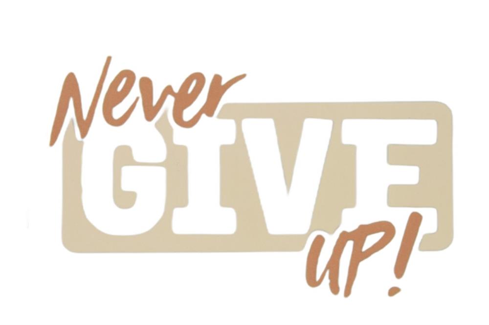 Never Give Up Yazılı Transfer Baskı Aksesuar