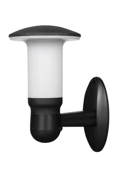 AG55-04321ACK Gaıa Bahce Duvar Aplıgı E27 Pc AG55-04321ACK AG55-04321 ACK Gaıa Bahce Duvar Aplıgı E27 Pc AG55-04321 | ACK | ubercoelektromarket.com{ubercoelektromarket}