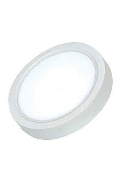 AP03-01210ACK 12W Beyaz 4000K Sıva Üstü Yuvarlak Led Panel AP03-01210ACK AP03-01210 ACK 12W Beyaz 4000K Sıva Üstü Yuvarlak Led Panel AP03-01210 | ACK | ubercoelektromarket.com{ubercoelektromarket}