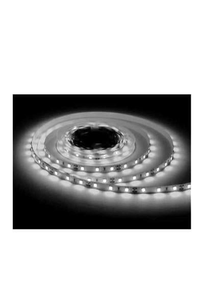 AS01-00303ACK Üç Çıp 6500K 60Led 12V Ip20 Serıt Led AS01-00303ACK AS01-00303 ACK Üç Çıp 6500K 60Led 12V Ip20 Serıt Led AS01-00303 | ACK | ubercoelektromarket.com{ubercoelektromarket}