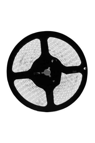 AS01-00503Ack 2835-120Led/1M-8.5W, 220V, 6500K, 3000Lm, Ip54, Led Serit 14Mmx6MmACK AS01-00503 Ack 2835-120Led-1M-8.5W, 220V, 6500K, 3000Lm, Ip54, Led Serit 14Mmx6Mm | ACK | ubercoelektromarket.com{ubercoelektromarket}