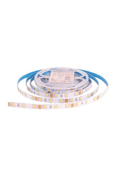 AS01-00807ACK Serıt Led Gold 12V 4040 AS01-00807ACK AS01-00807 ACK Serıt Led Gold 12V 4040 AS01-00807 | ACK | ubercoelektromarket.com{ubercoelektromarket}
