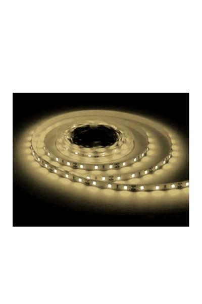 AS01-02501ACK 2835 4000K 12V Şerit Led 120 Led/Metre AS01-02501ACK AS01-02501 ACK 2835 4000K 12V Şerit Led 120 Led-Metre AS01-02501 | ACK | ubercoelektromarket.com{ubercoelektromarket}