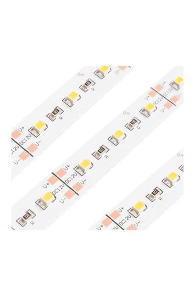 AS05-00100Ack 3000K 12V Led BarACK AS05-00100 Ack 3000K 12V Led Bar | ACK | ubercoelektromarket.com{ubercoelektromarket}