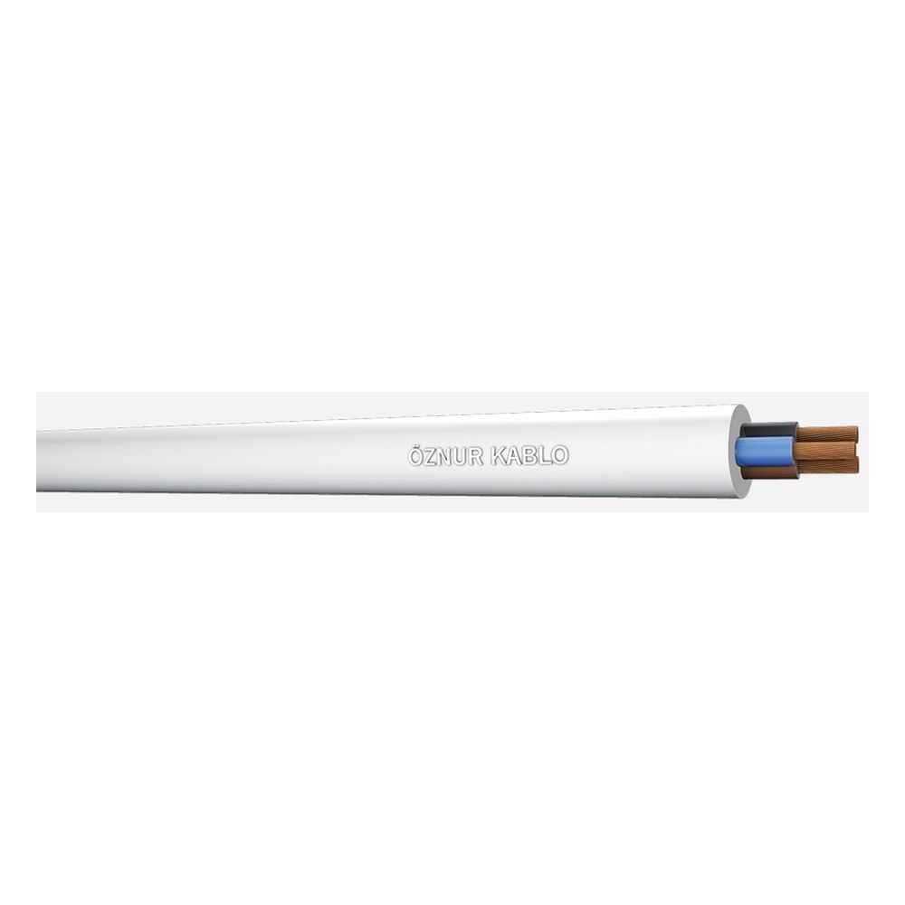 OZN-TTR(14x2.5mm²)-SYHÖznur TTR (H05VV-F) 14x2.5mm² Siyah KabloÖznur TTR (H05VV-F) 14x2.5mm² Siyah Kablo{ubercoelektromarket}