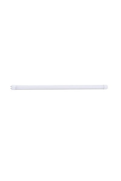 Pelsan 319184PELSAN 319184 LED Tüp Pro Lamba 16WPELSAN 319184 LED Tüp Pro Lamba 16W{ubercoelektromarket}