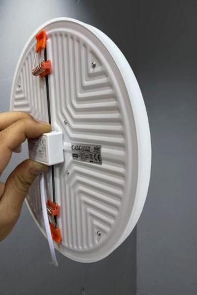 ab5331fb-43cb-4ccf-ab64-9a1606fd990d-d97919.jpg