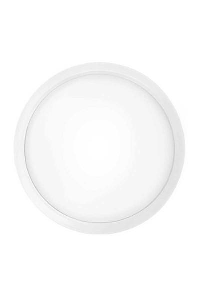 AD05-01600ACK Backlıght Sıva Altı 16W 3000K AD05-01600ACK AD05-01600 ACK Backlıght Sıva Altı 16W 3000K AD05-01600 | ACK | ubercoelektromarket.com{ubercoelektromarket}