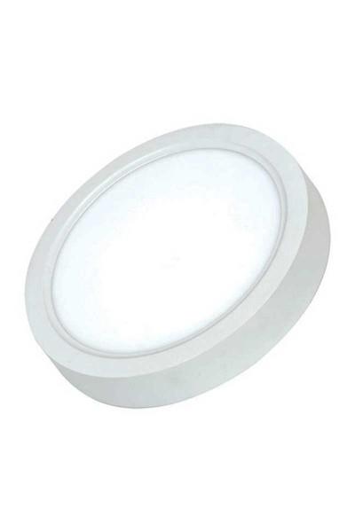 AP03-01830ACK 18W Beyaz 6500K Sıva Üstü Yuvarlak Led Panel AP03-01830ACK AP03-01830 ACK 18W Beyaz 6500K Sıva Üstü Yuvarlak Led Panel AP03-01830 | ACK | ubercoelektromarket.com{ubercoelektromarket}