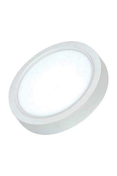 AP03-02400ACK 24W Beyaz 3000K Sıva Üstü Yuvarlak Led Panel AP03-02400ACK AP03-02400 ACK 24W Beyaz 3000K Sıva Üstü Yuvarlak Led Panel AP03-02400 | ACK | ubercoelektromarket.com{ubercoelektromarket}