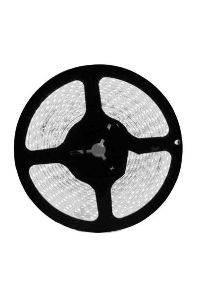 AS01-00503Ack 2835-120Led/1M-8.5W, 220V, 6500K, 3000Lm, Ip54, Led Serit 14Mmx6MmACK AS01-00503 Ack 2835-120Led-1M-8.5W, 220V, 6500K, 3000Lm, Ip54, Led Serit 14Mmx6Mm | ACK | ubercoelektromarket.com{ubercoelektromarket}
