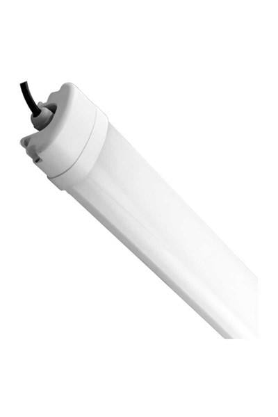 AT02-01230ACK 36W Uranüs 120Cm 6500K Ip65 Etanj Led Bant Armatür AT02-01230ACK AT02-01230 ACK 36W Uranüs 120Cm 6500K Ip65 Etanj Led Bant Armatür AT02-01230 | ACK | ubercoelektromarket.com{ubercoelektromarket}