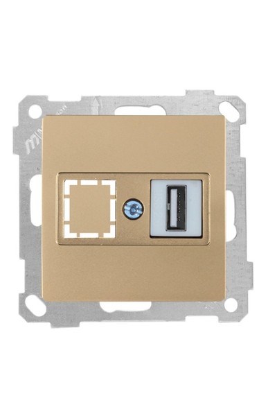 2100 455 0180Candela Mek+Tuş 1*USB Priz - Antik AltınCandela Mek+Tuş 1*USB Priz - Antik Altın | MUTLUSAN{ubercoelektromarket}