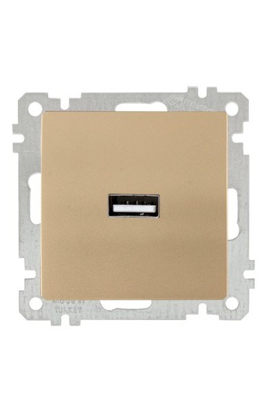 2100 448 0180Candela Mek+Tuş Tekli USB Şarj Prizi - Antik AltınCandela Mek+Tuş Tekli USB Şarj Prizi - Antik Altın |{ubercoelektromarket}