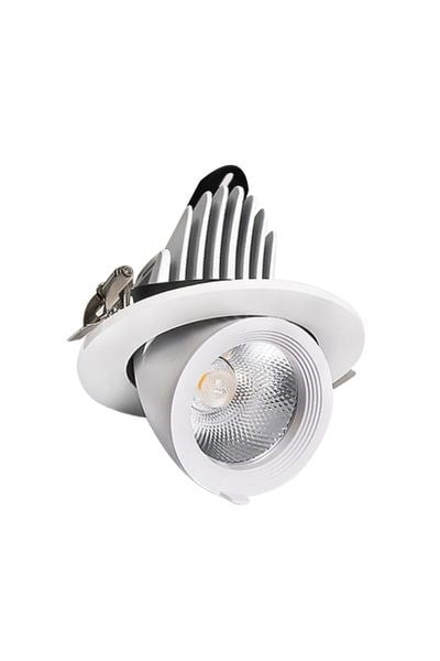 FL-2089 BForlife FL-2089 B Salyangoz Armatür 40WForlife FL-2089 B Salyangoz Armatür 40W{ubercoelektromarket}