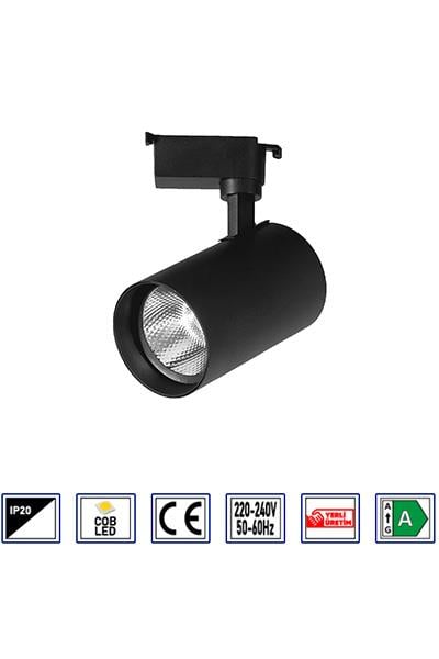 Noas 30W 6500K Beyaz Işık Siyah Paris Led Ray Spot YL29 3101