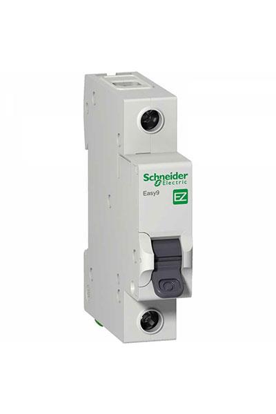 Schneider 1*2A 3 KA C Tipi N Otomat EZ9F43102
