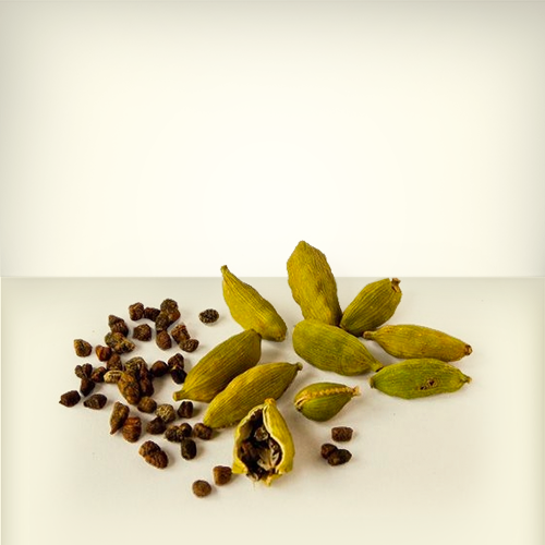 Cardamom
