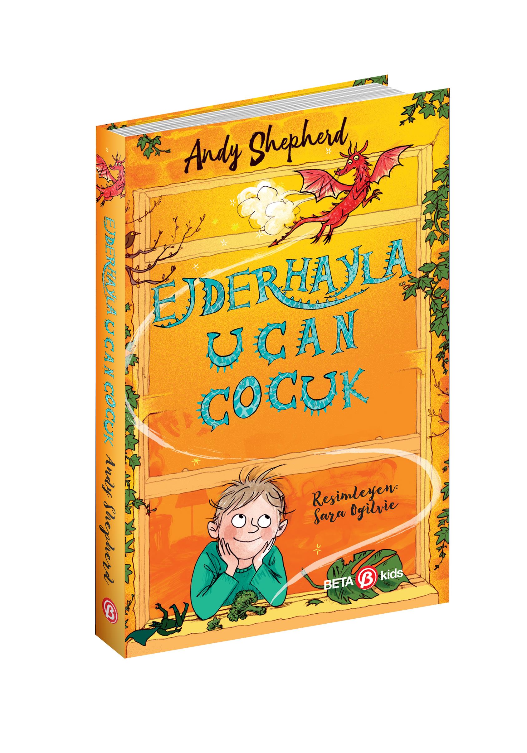 Ejderhayla Uçan Çocuk