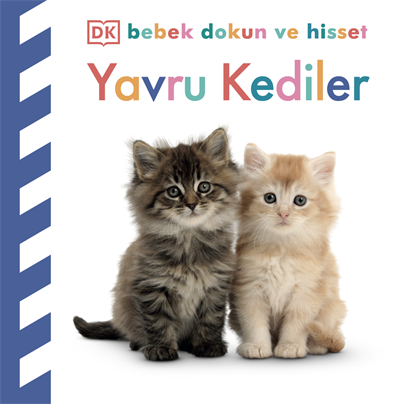 Bebek Dokun ve Hisset Yavru Kediler