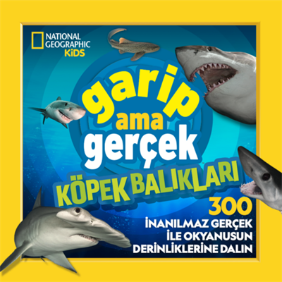 Garip Ama Gerçek! Köpek Balıkları (300 Harika Gerçek)