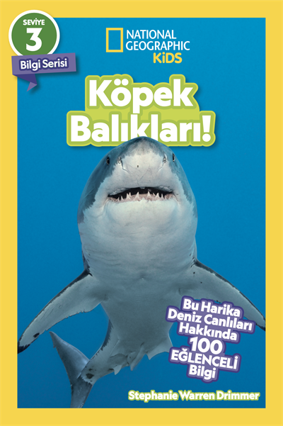 Köpek Balıkları