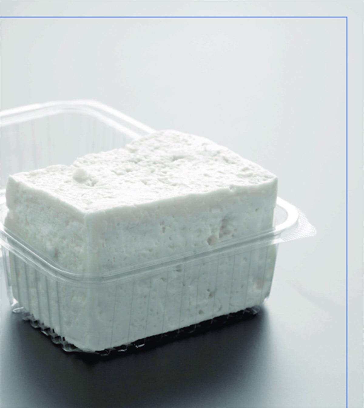 VEMPİ Sızdırmaz Kase 375 GR ile Peynir ve Şarküteri Paketleme