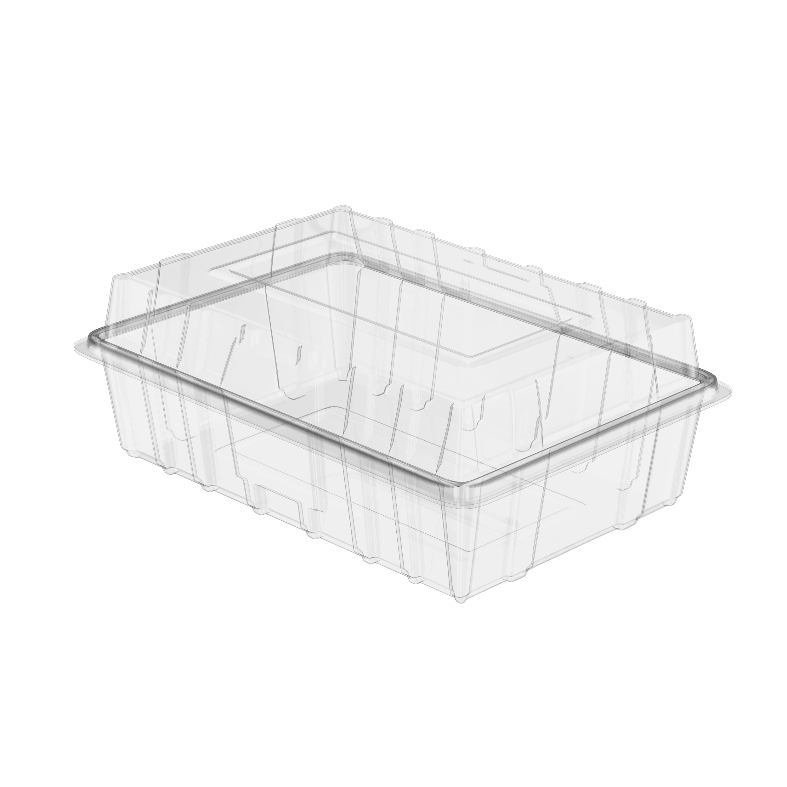 Dipack 1000 gr Yayvan Kapaklı Kurabiye Kabı 100lü