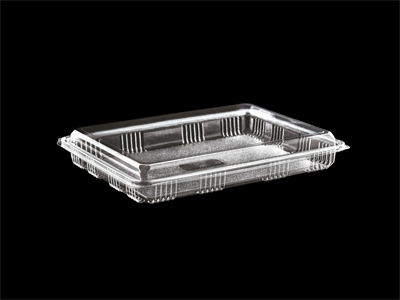 Dasplas 1000 gr Baklava Kabı Sızdırmaz