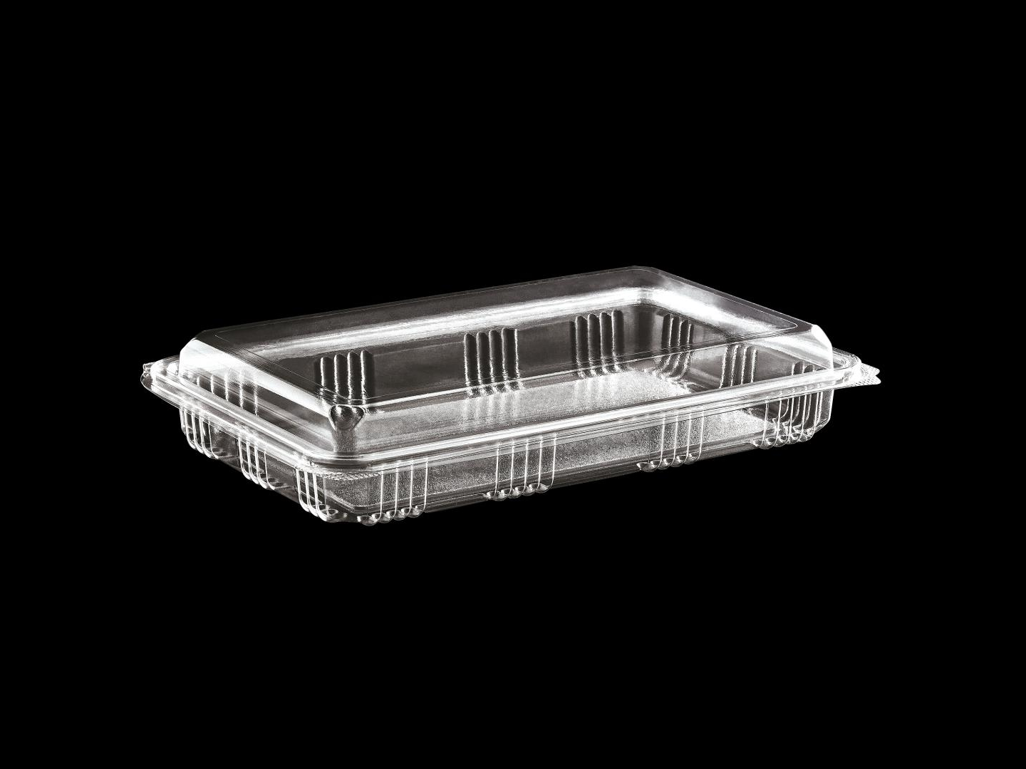 Dasplas 500 gr Baklava Kabı Sızdırmaz