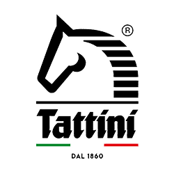 Tattini