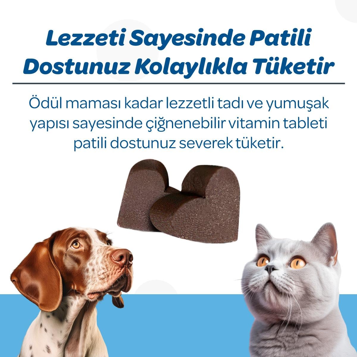 Vets Plus Derma Care Kedi ve Köpekler İçin Deri ve Tüy Yapısı Desteği Çiğnenebilir Tablet (60lı)