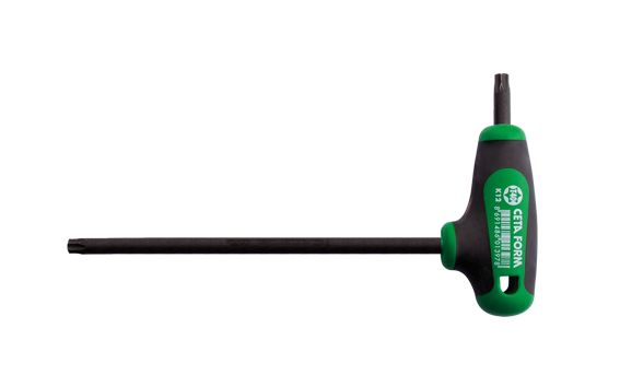 CETA-FORM K12-010-100 T Saplı Torx Alyan T10