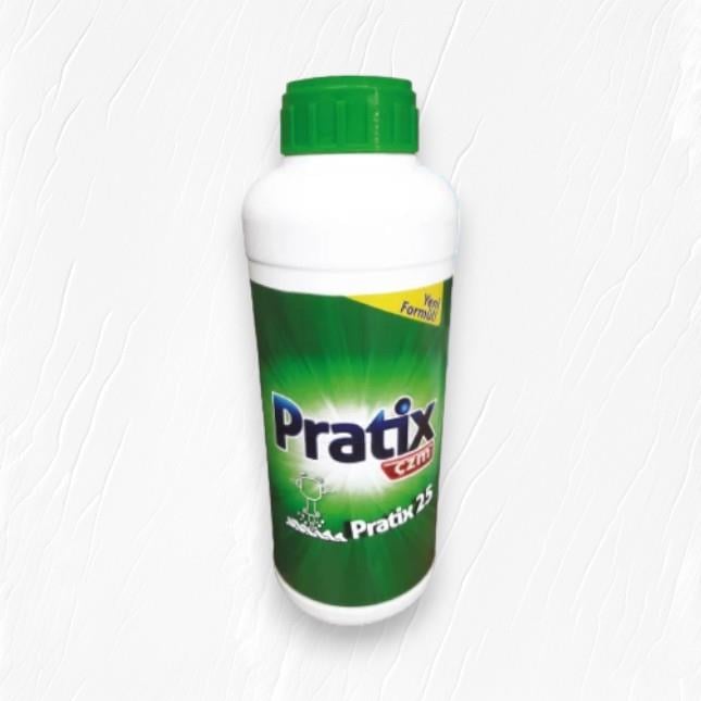 Pratix Çzm Harç & Beton Eritici
