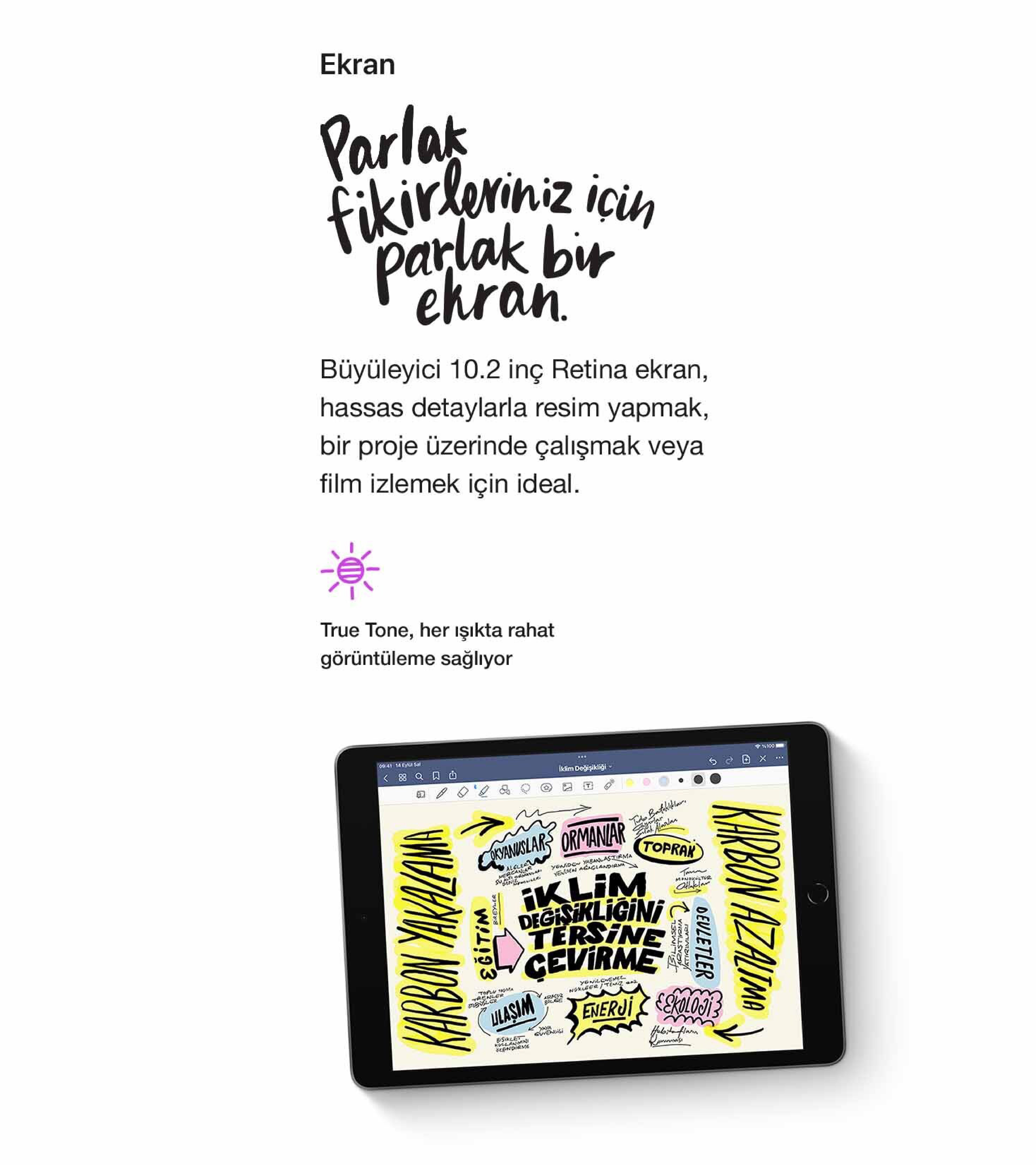 Apple İpad 9.Nesil
