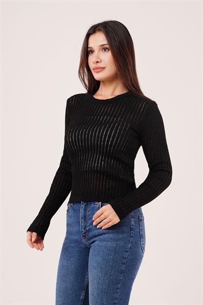 Transparan Model Uzun Kol Siyah Bluz