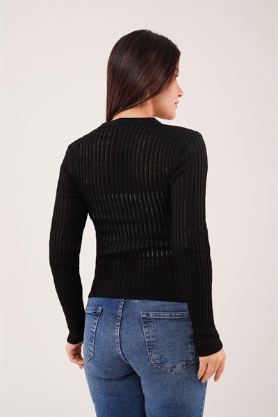 Transparan Model Uzun Kol Siyah Bluz