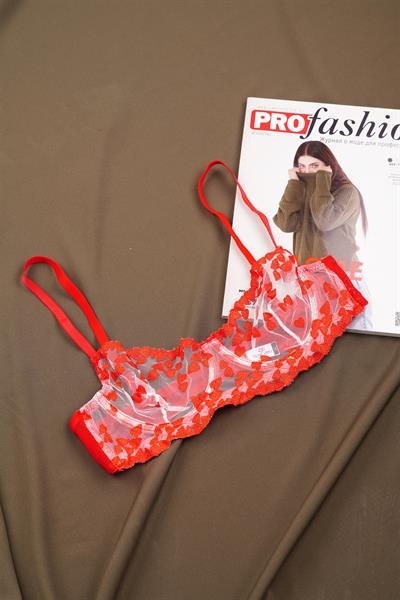 Kalp Nakışlı Tüllü Kırmızı Bralet Takımı (Sütyen & Tanga)
