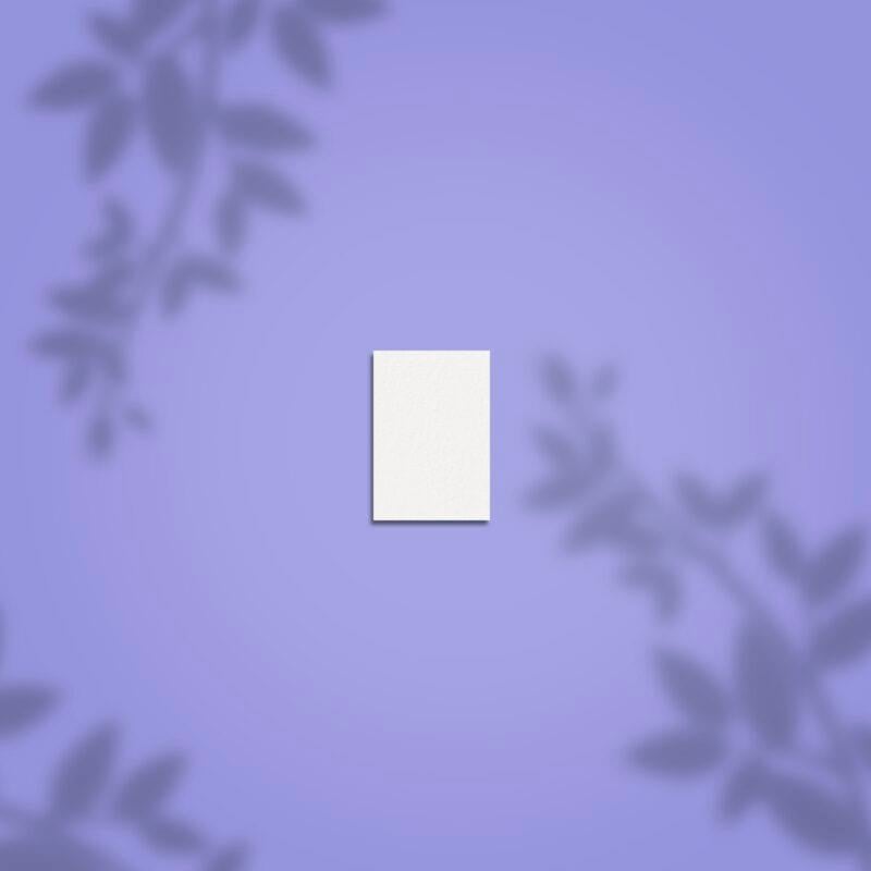 STALEKS PRO Dikdörtgen Şekillendirici Mini Buffer Törpü 100/180 Grit, 50'li Set