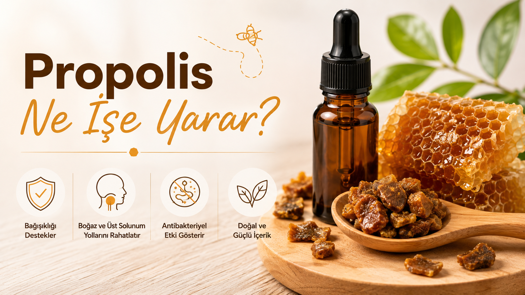 Propolis Ne İşe Yarar? Faydaları, Kullanımı ve Merak Edilenler
