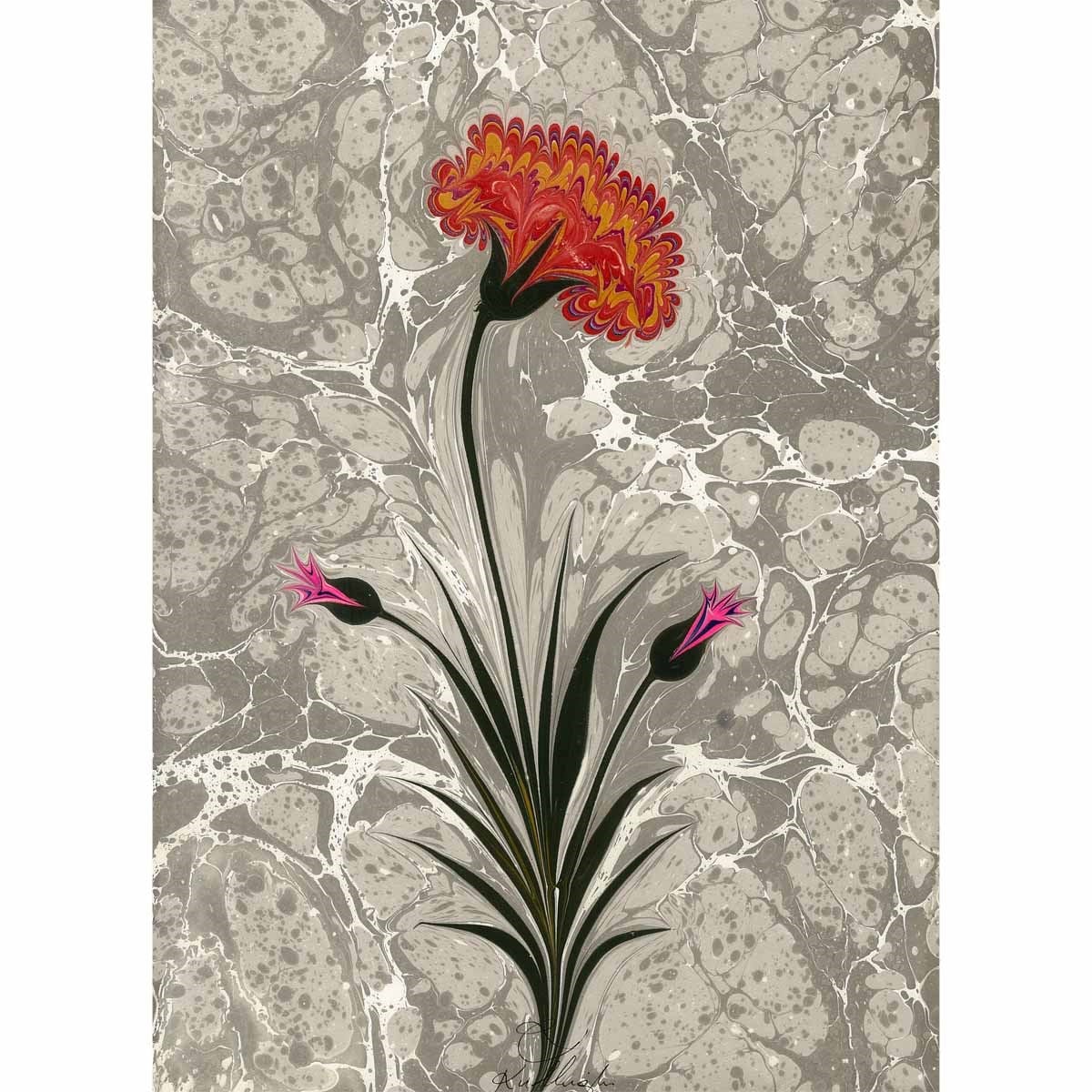 Karanfil Ebru Rafet Küllüoğlu