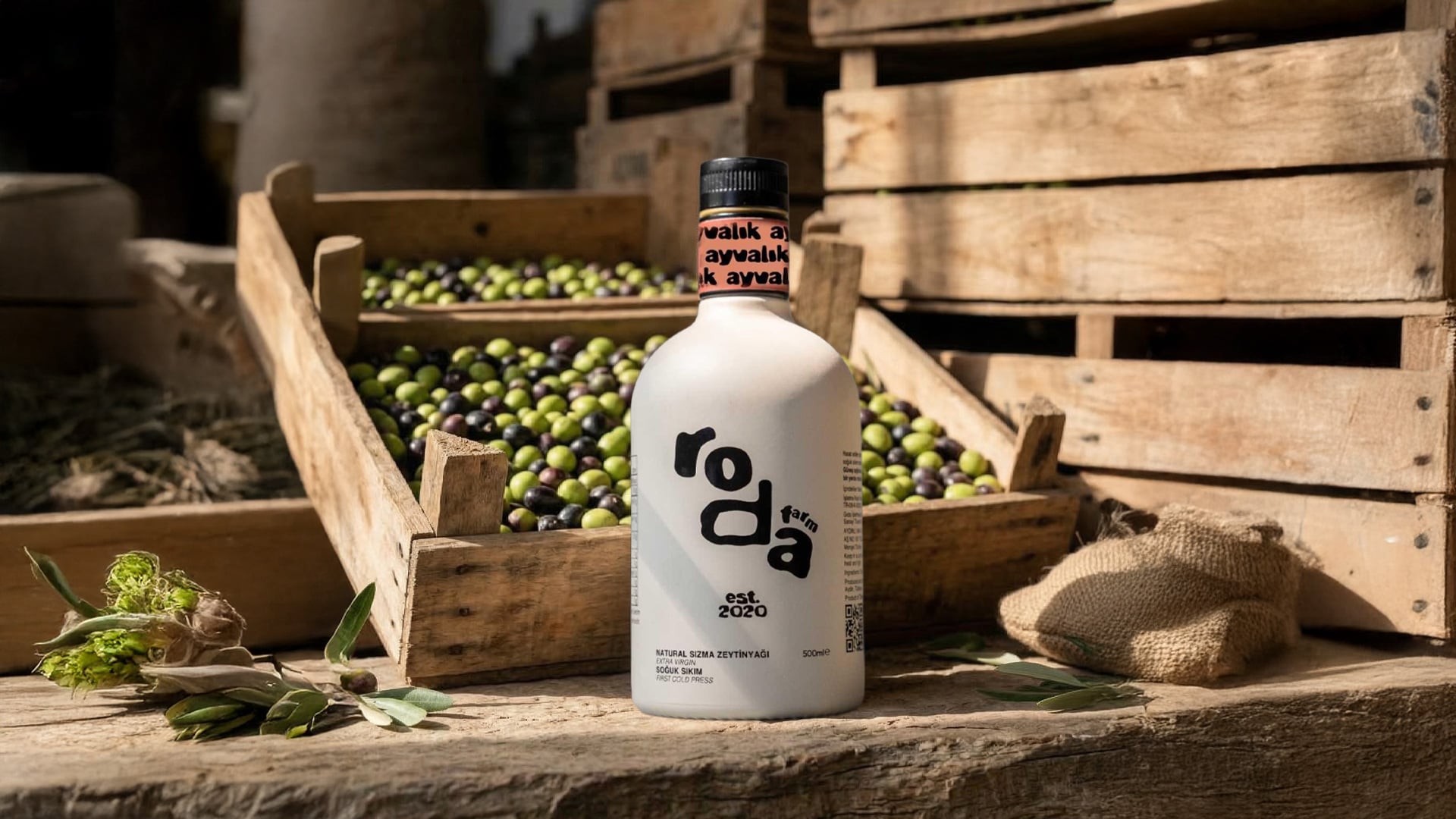 Zeytinyağı Nasıl Üretilir? Adım Adım Zeytinyağı Üretim Süreci