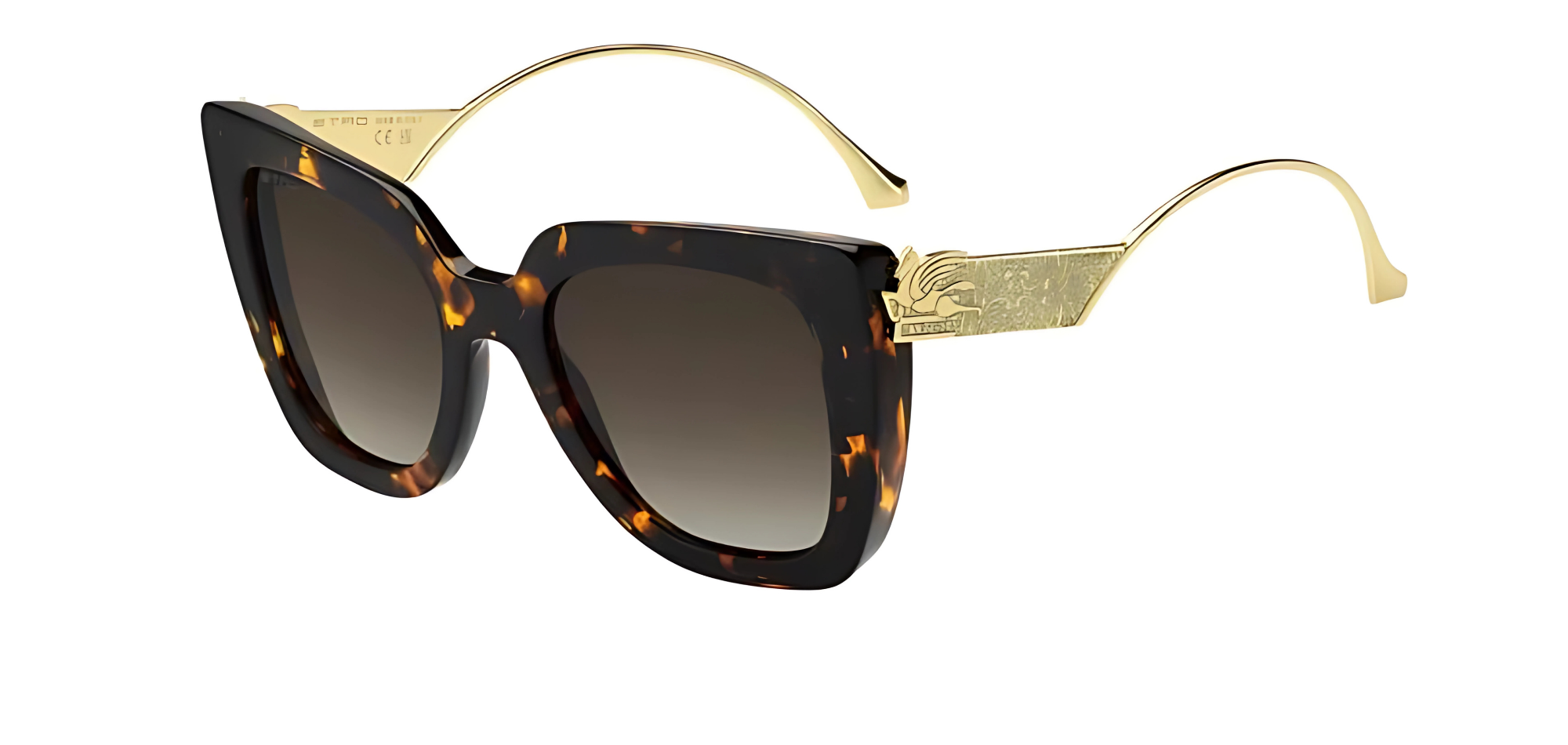 GÜNEŞ GÖZLÜĞÜ ETRO 0040/S 20731108653HA