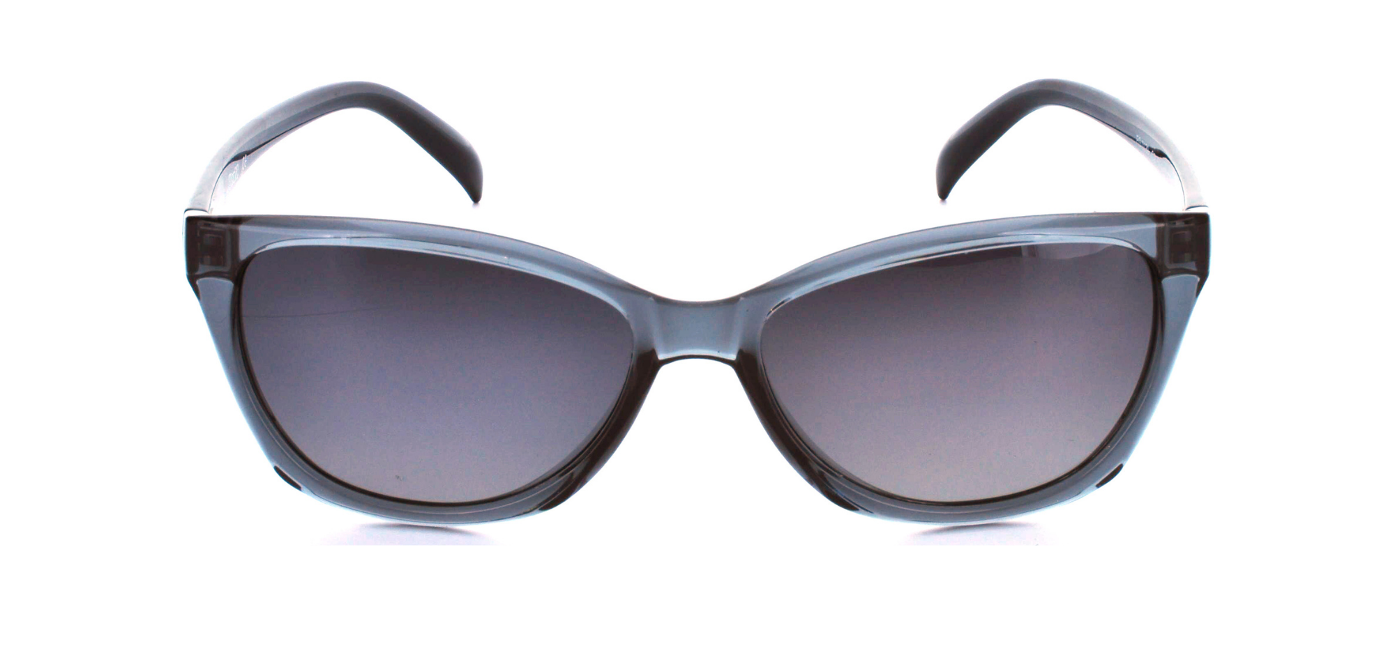 GÜNEŞ GÖZLÜĞÜ FLOTT FG 0139 C2