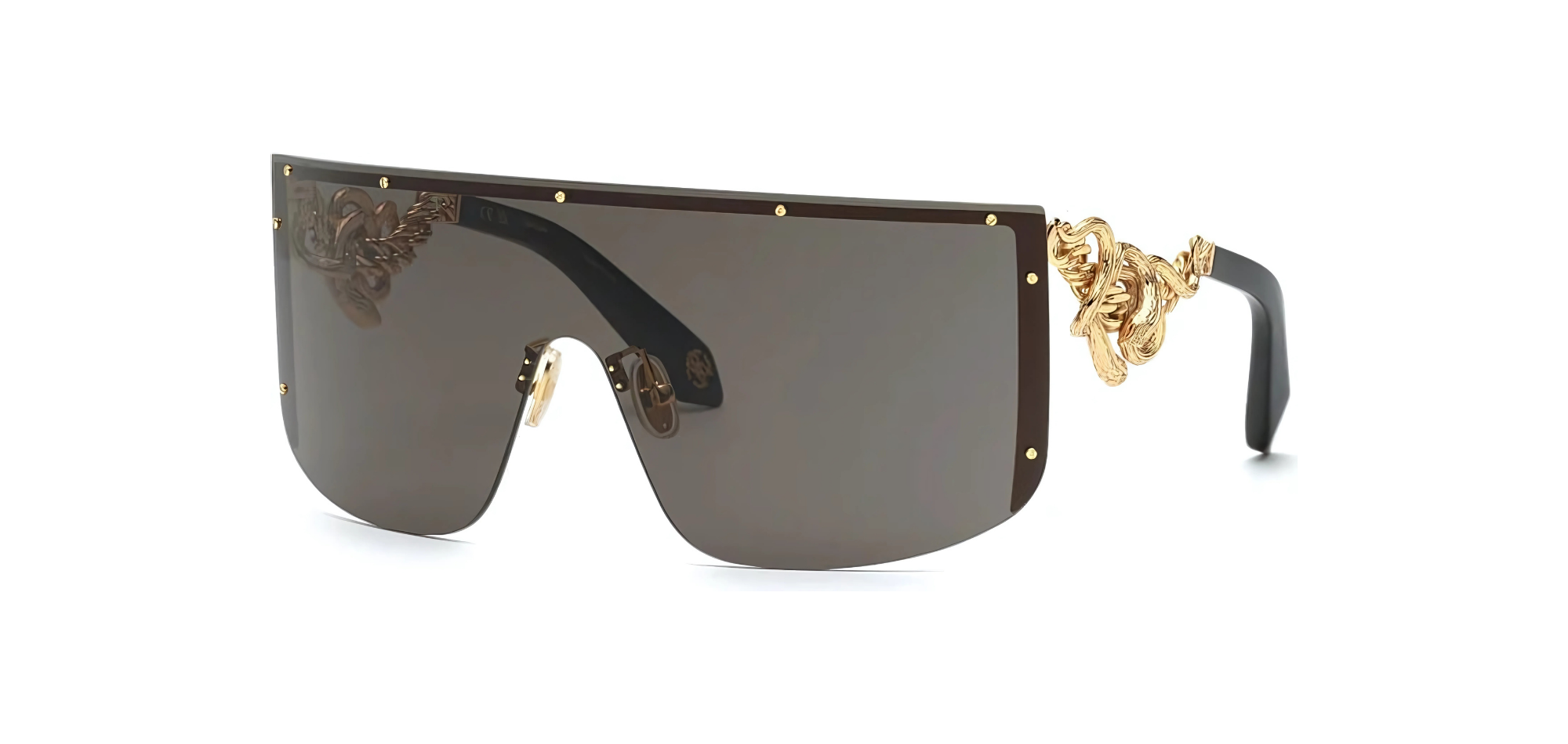 ROBERTO CAVALLI_SRC015M 030099_Elegance