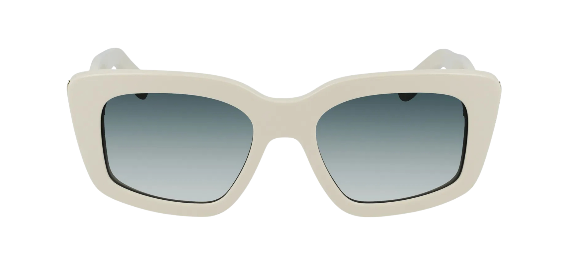 GÜNEŞ GÖZLÜĞÜ SALVATORE FERRAGAMO SF1024S-103