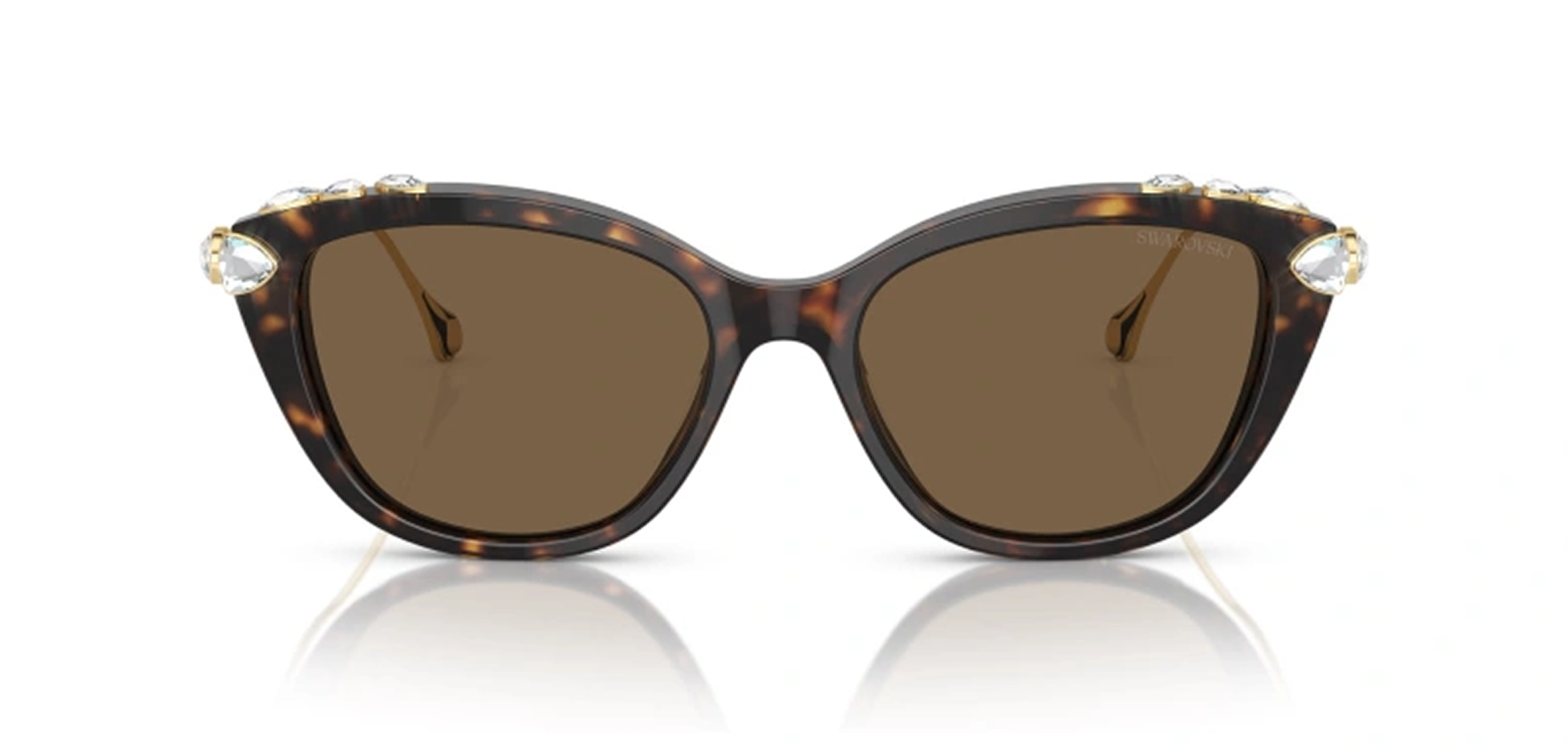 GÜNEŞ GÖZLÜĞÜ SWAROVSKİ SK6010 10027353