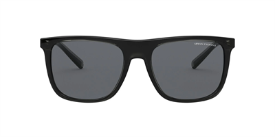 GÜNEŞ GÖZLÜĞÜ A.EXCHANGE AX4102S 83188756